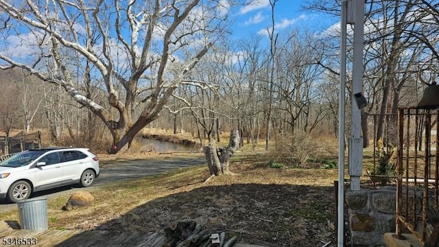 356 W Mill Rd, Washington Twp, NJ 07853 - view of yard