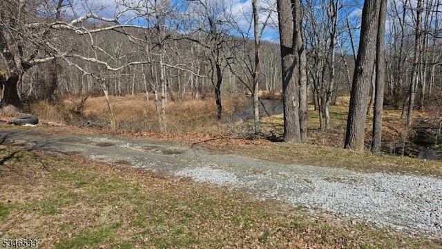 356 W Mill Rd, Washington Twp, NJ 07853 - view of street