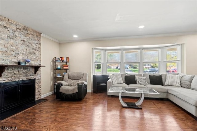 19 Tunnell Rd, Franklin Twp, NJ 08873 - living area featuring wood finished floors, crown molding, baseboards, and a stone fireplace
