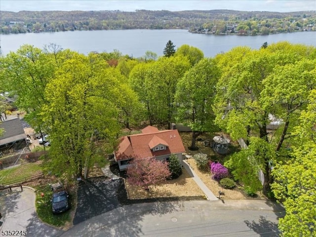 21 Highland Ave, Stanhope Boro, NJ 07874 - view of subject property featuring a nearby body of water and a heavily wooded area