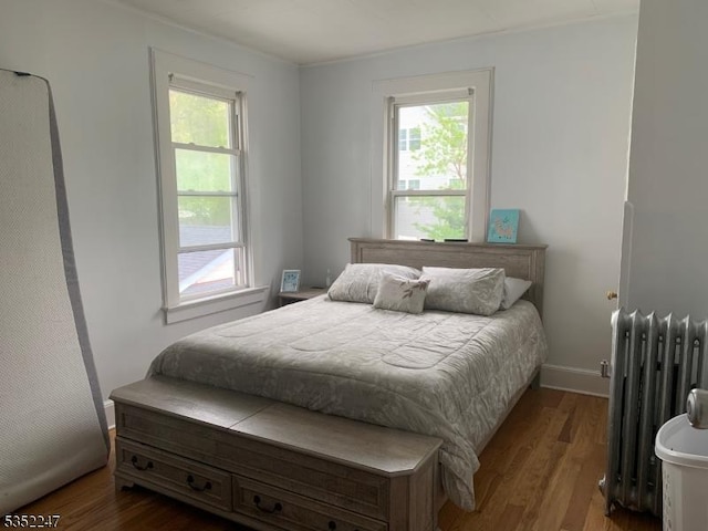 13 Boyden Pkwy, Maplewood Twp, NJ 07040 - bedroom with radiator, multiple windows, and wood finished floors