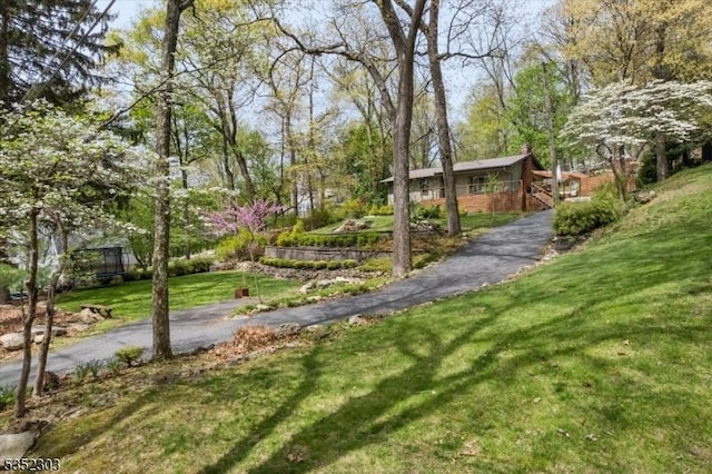 view of home's community with a lawn
