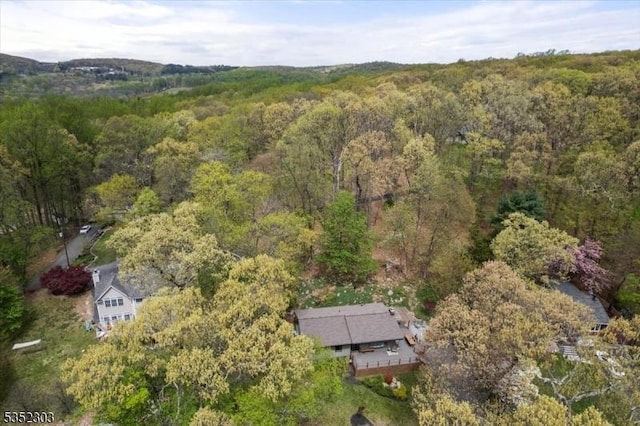 aerial view with a wooded view