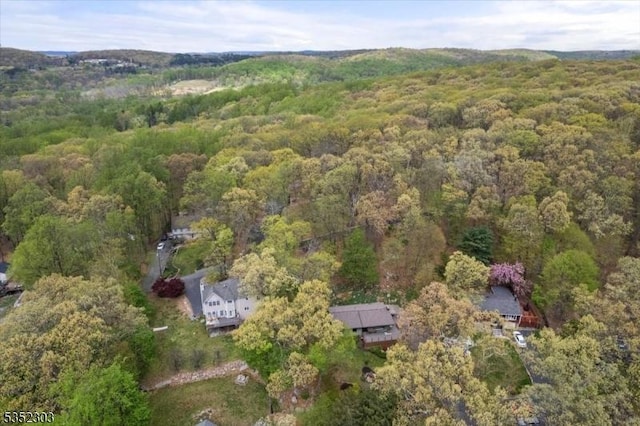 bird's eye view with a wooded view