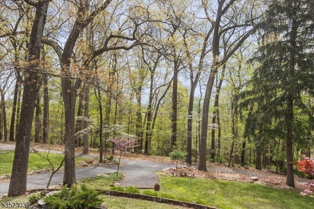 view of yard with a wooded view