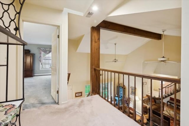 corridor featuring carpet floors