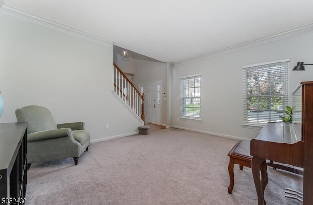 sitting room with baseboards, carpet, crown molding, and stairs