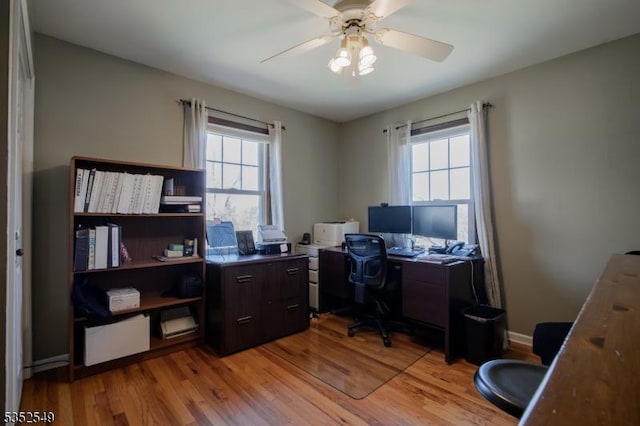 office featuring ceiling fan and light wood-style floors