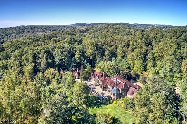 770 Pottersville Rd, Chester Twp, NJ 07931 - view of property location featuring a heavily wooded area
