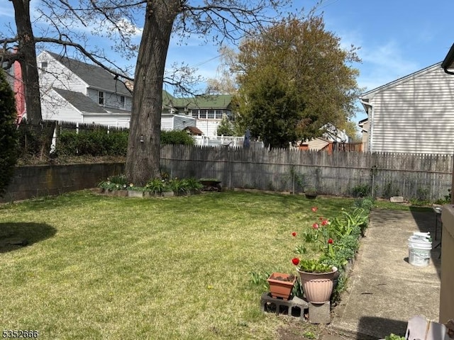 view of yard featuring a fenced backyard