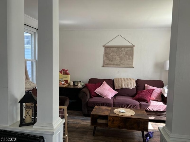 living area with ornamental molding and wood finished floors