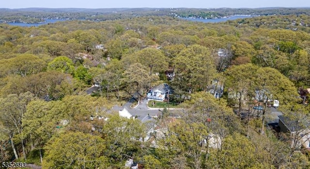 drone / aerial view with a forest view