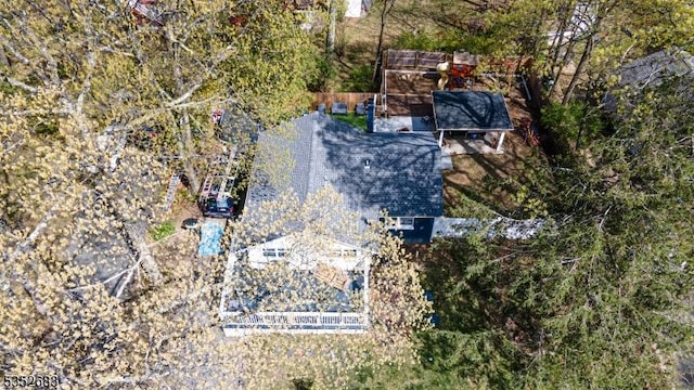drone / aerial view