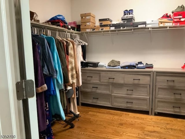 19 Southfield Dr, Sussex Boro, NJ 07461 - walk in closet with light wood-style flooring