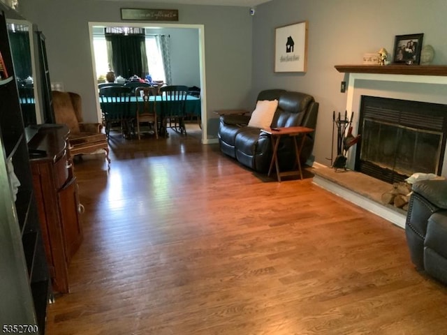 19 Southfield Dr, Sussex Boro, NJ 07461 - living area with wood finished floors and a glass covered fireplace