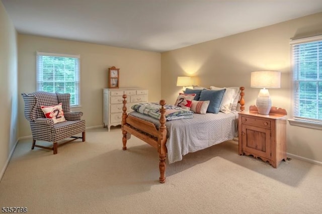 199 W Springtown Rd, Washington Twp, NJ 07853 - bedroom with multiple windows, light colored carpet, and baseboards