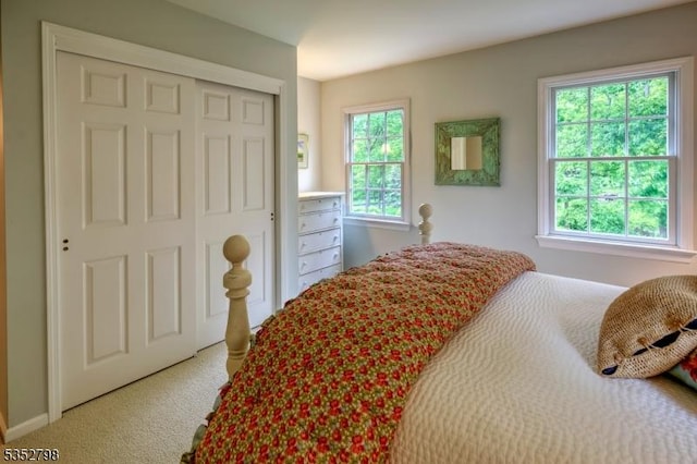 199 W Springtown Rd, Washington Twp, NJ 07853 - bedroom featuring carpet floors and a closet