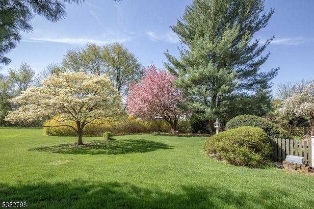 199 W Springtown Rd, Washington Twp, NJ 07853 - view of yard