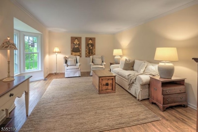 199 W Springtown Rd, Washington Twp, NJ 07853 - living room featuring light wood-style flooring, crown molding, and baseboards