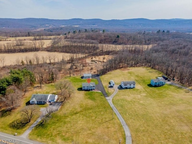bird's eye view with a rural view and a mountain view