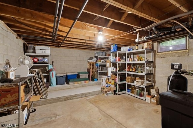 unfinished below grade area with concrete block wall