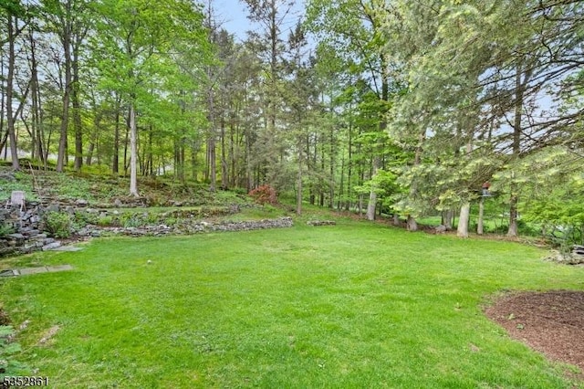 view of green lawn