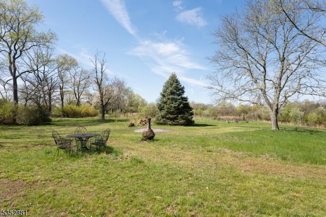 view of yard