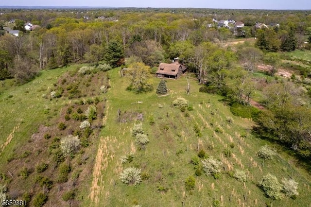 birds eye view of property featuring a forest view