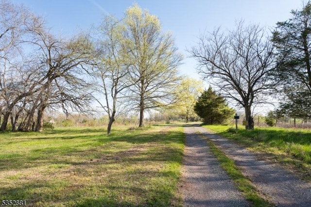 view of road