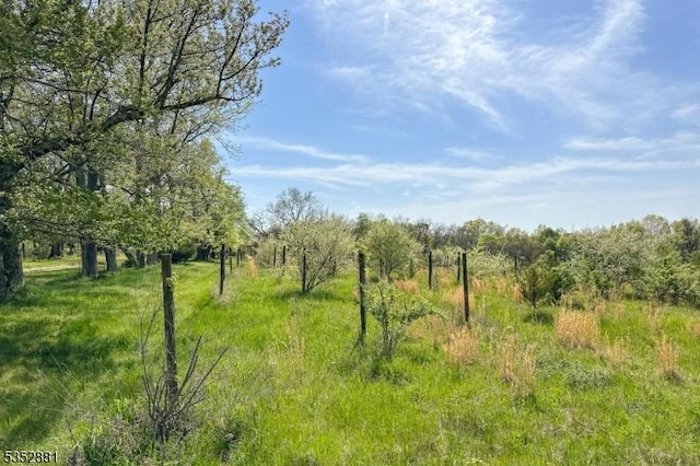 view of nature