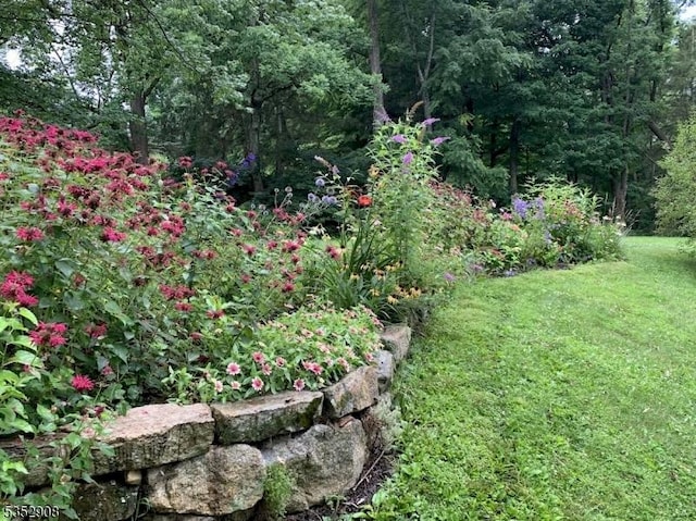 view of yard featuring a view of trees