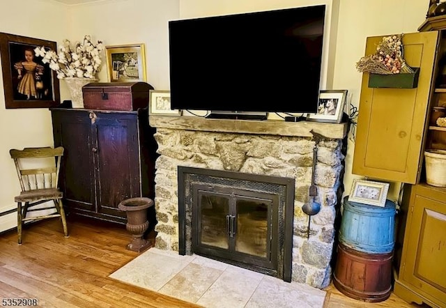 interior space with wood finished floors and a stone fireplace