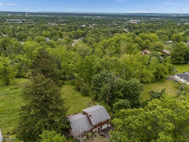 4 Broad View Pl, Raritan Twp, NJ 08822 - aerial view of property's location with a heavily wooded area