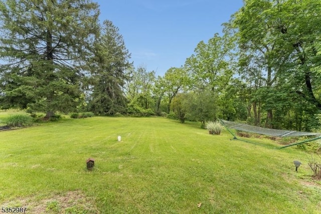 4 Broad View Pl, Raritan Twp, NJ 08822 - view of grassy yard