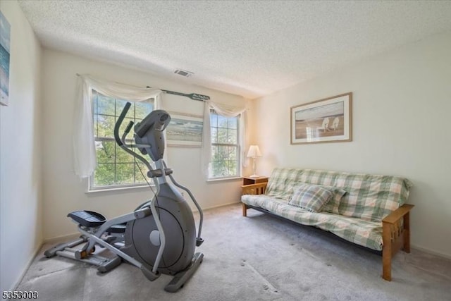 workout room featuring a textured ceiling, plenty of natural light, carpet floors, and baseboards