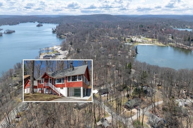 bird's eye view featuring a water view and a view of trees