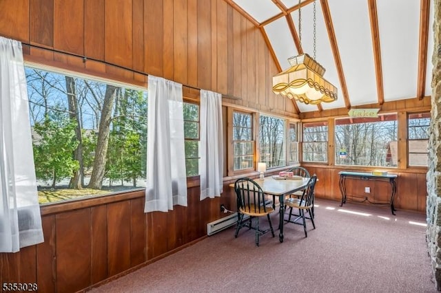 sunroom / solarium with wooden walls, a baseboard heating unit, carpet, and a healthy amount of sunlight