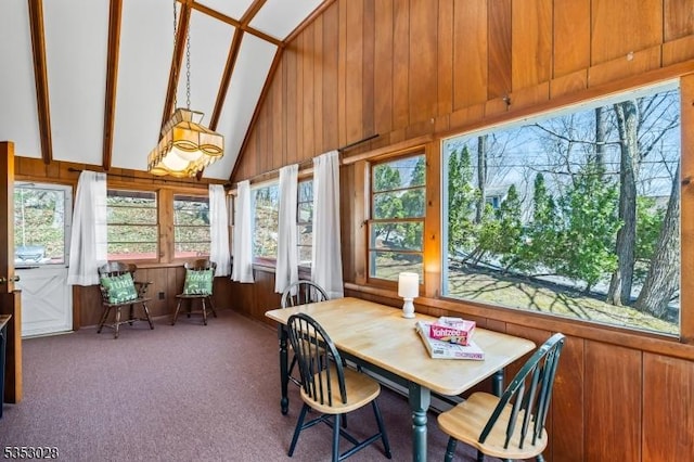 sunroom with wood walls, carpet, and high vaulted ceiling