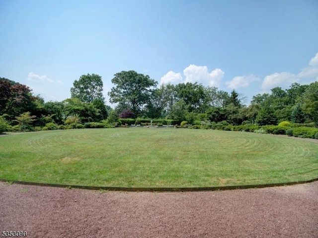view of community featuring a yard