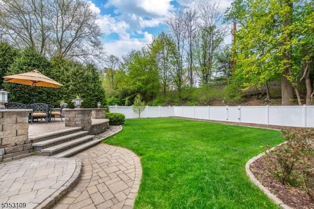 view of yard with a fenced backyard and a patio area