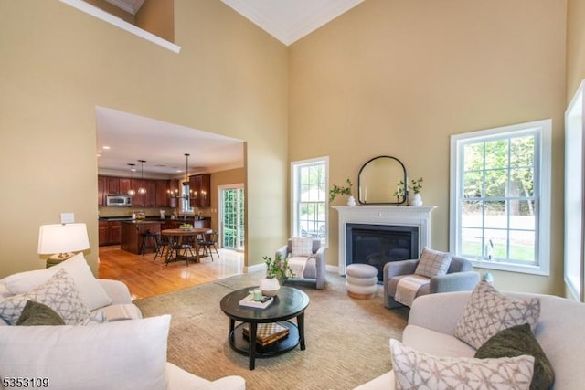 living area featuring light wood-style floors, high vaulted ceiling, ornamental molding, and a glass covered fireplace