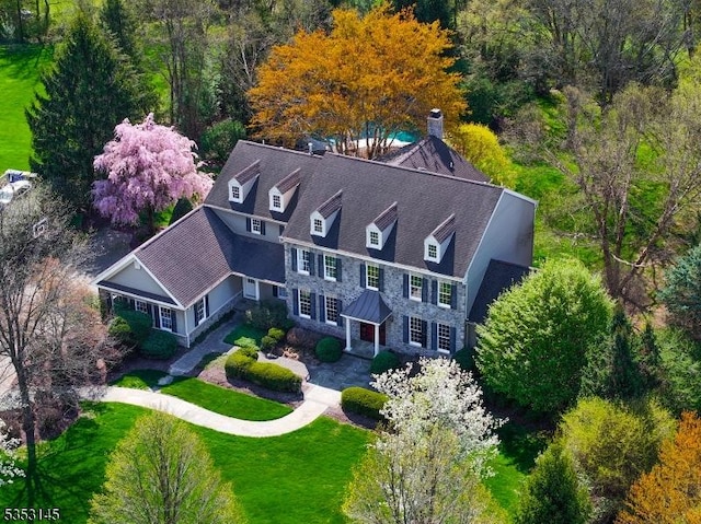 bird's eye view