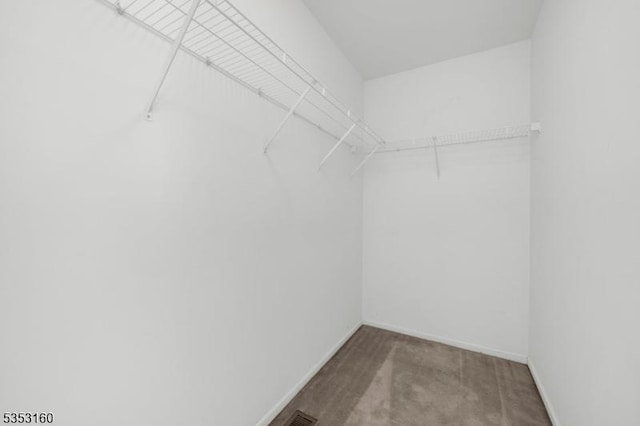 walk in closet featuring carpet flooring