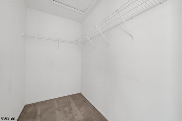 walk in closet with carpet floors and attic access