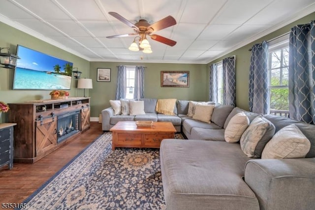 living area with ornamental molding, a ceiling fan, a wealth of natural light, and wood finished floors
