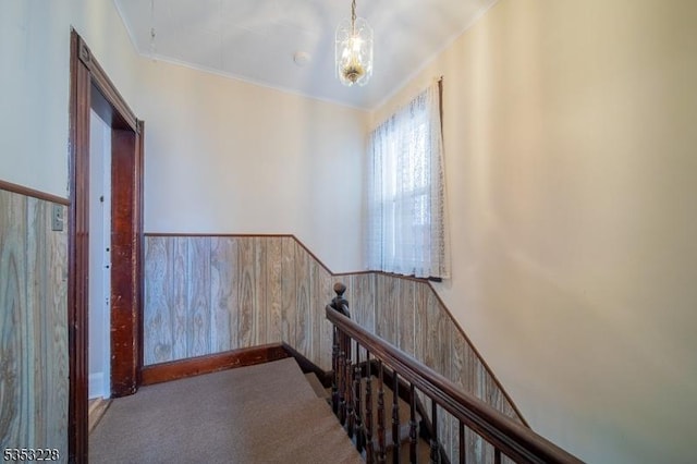 stairway featuring crown molding, a wainscoted wall, a chandelier, and carpet
