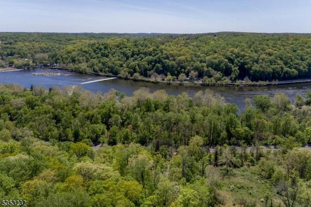 2252 Daniel Bray Hwy, Kingwood Twp, NJ 08559 - bird's eye view featuring a water view and a wooded view
