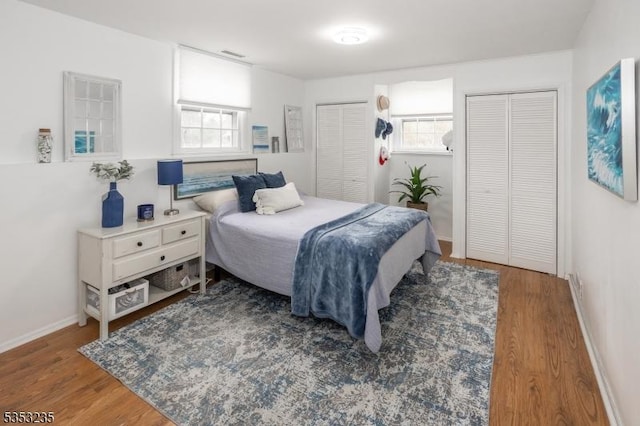 bedroom featuring wood finished floors, multiple closets, and multiple windows