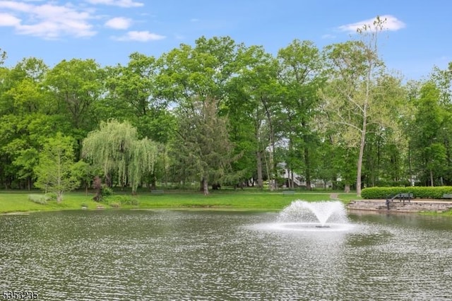 water view