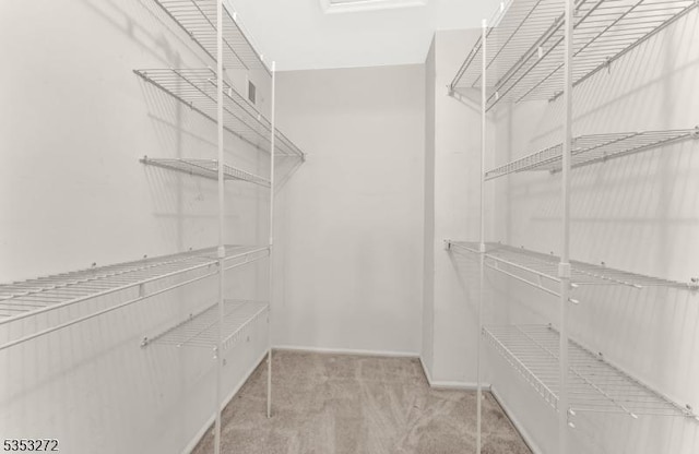 spacious closet with carpet flooring